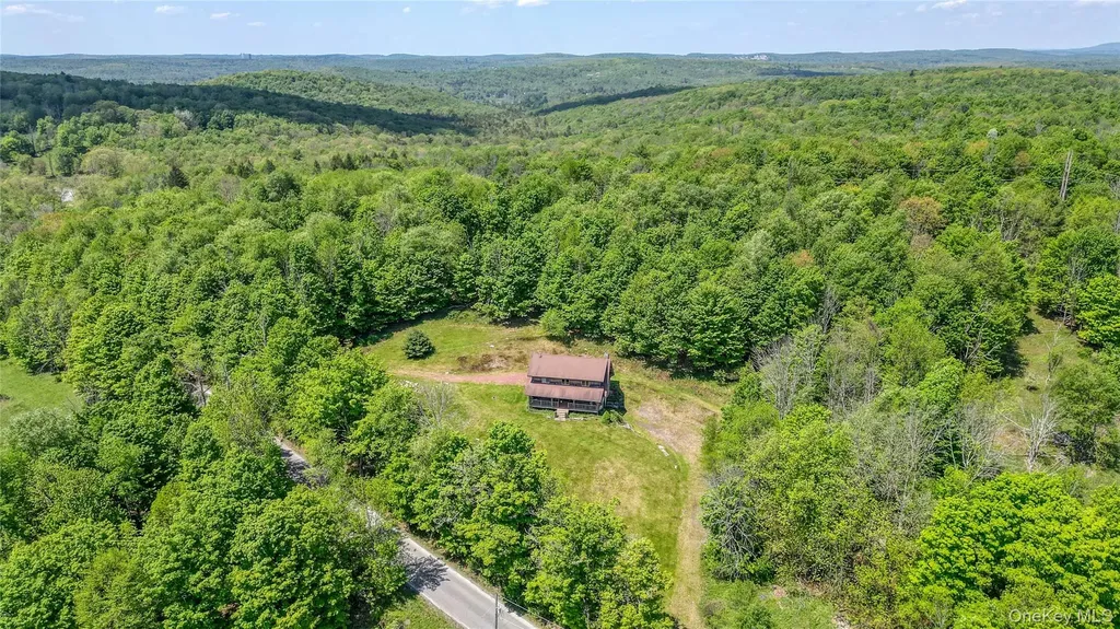 25 Cauthers Road Fallsburg NY 12733