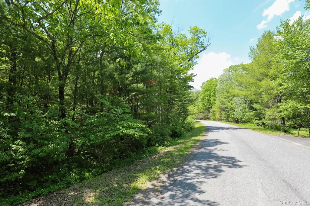Tbd Bristol Hill Road Hurley NY 12443