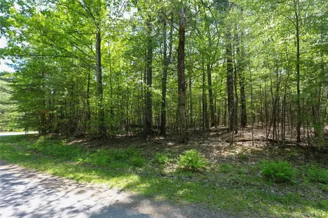 Tbd Bristol Hill Road Hurley NY 12443
