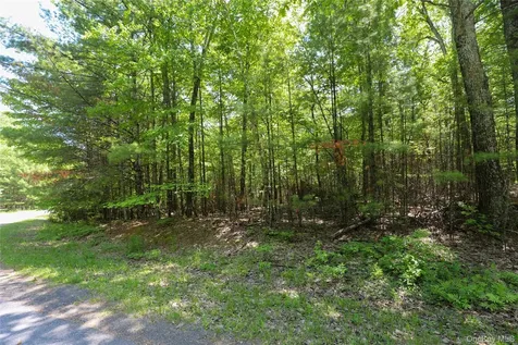 Tbd Bristol Hill Road Hurley NY 12443