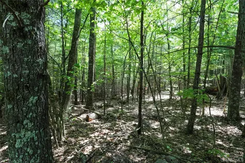 Tbd Bristol Hill Road Hurley NY 12443