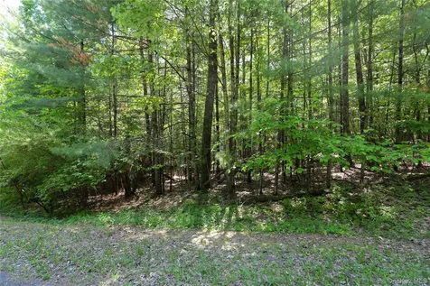 Tbd Bristol Hill Road Hurley NY 12443