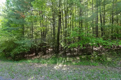 Tbd Bristol Hill Road Hurley NY 12443