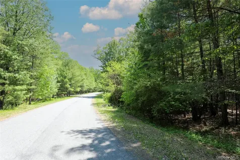 Tbd Bristol Hill Road Hurley NY 12443