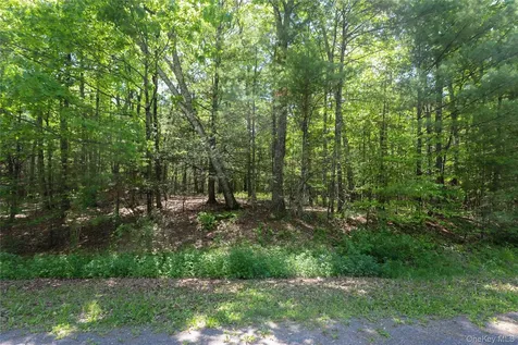 Tbd Bristol Hill Road Hurley NY 12443