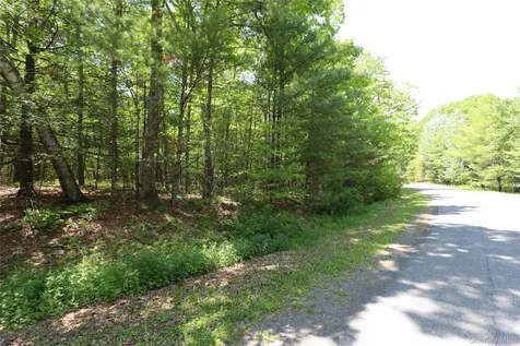 Tbd Bristol Hill Road Hurley NY 12443