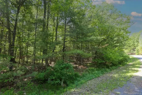 Tbd Bristol Hill Road Hurley NY 12443