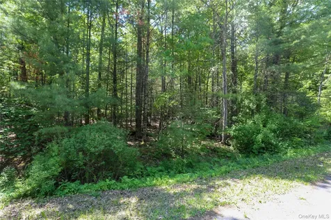 Tbd Bristol Hill Road Hurley NY 12443