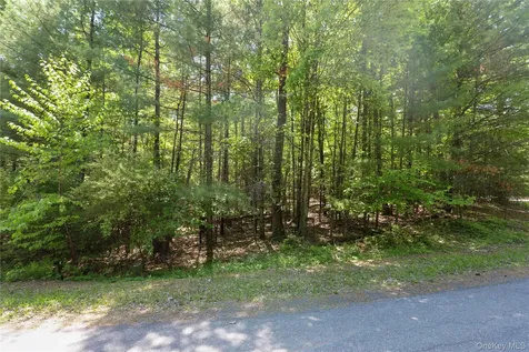 Tbd Bristol Hill Road Hurley NY 12443