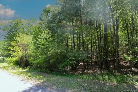 Tbd Bristol Hill Road Hurley NY 12443