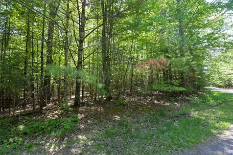 Tbd Bristol Hill Road Hurley NY 12443