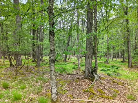 110 Ledgeview Drive Other PA 18428