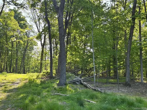 South Plank Road Westtown NY 10998