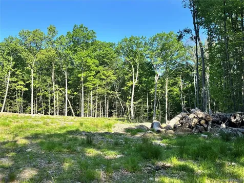 South Plank Road Westtown NY 10998