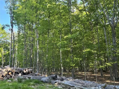 South Plank Road Westtown NY 10998