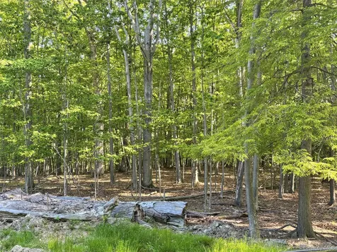 South Plank Road Westtown NY 10998