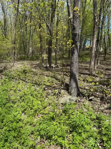 120 Floyd Ackert Road Esopus NY 12429