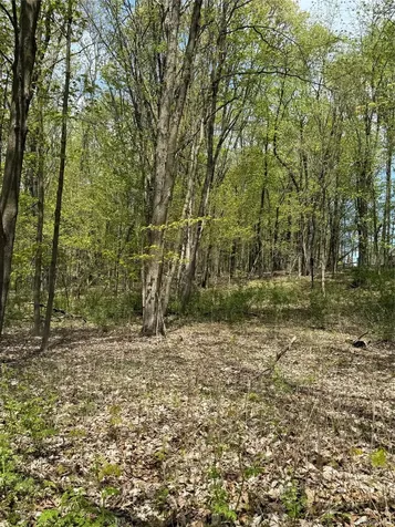 120 Floyd Ackert Road Esopus NY 12429