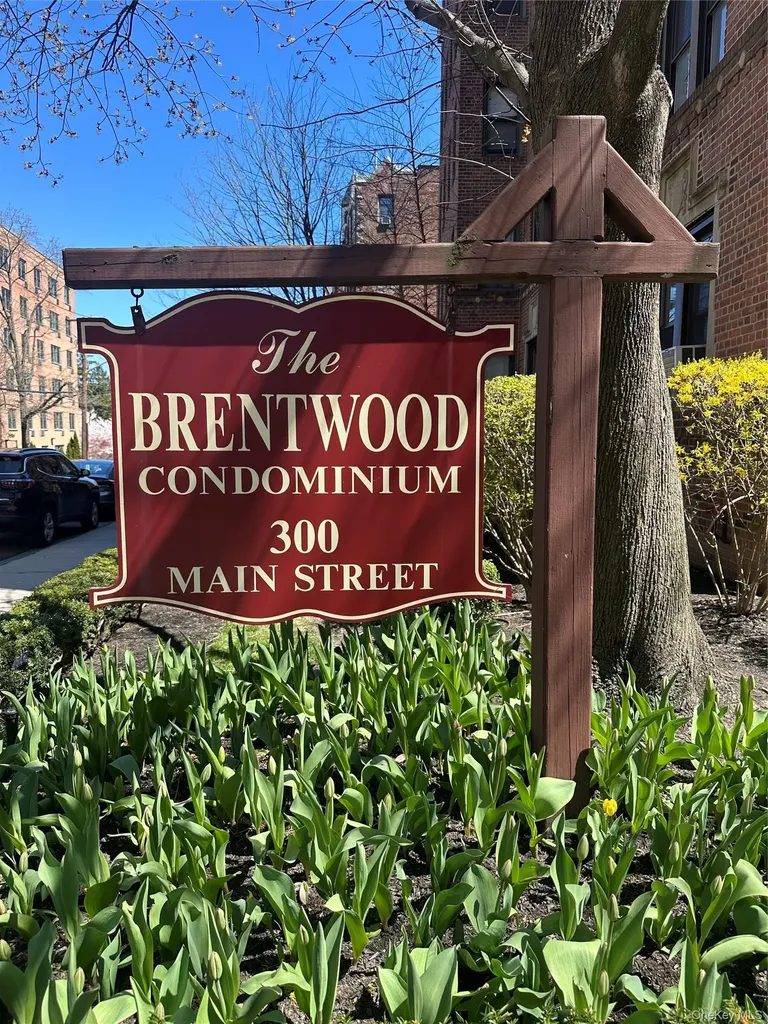 300 Main Street White Plains NY 10601