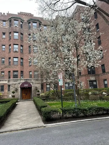 300 Main Street White Plains NY 10601