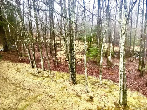 42 Krier Lane Kiamesha Lake NY 12751
