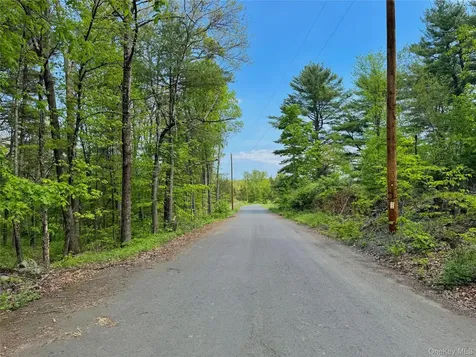 Tbd Bill Matter Road Coxsackie NY 12051