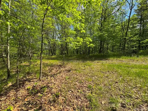 Tbd Bill Matter Road Coxsackie NY 12051