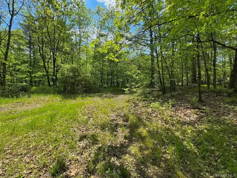 Tbd Bill Matter Road Coxsackie NY 12051