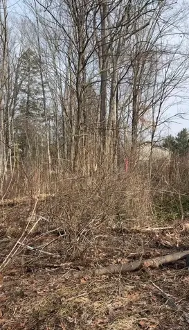 19 & 25 Clearbrook Drive Mahopac NY 10541