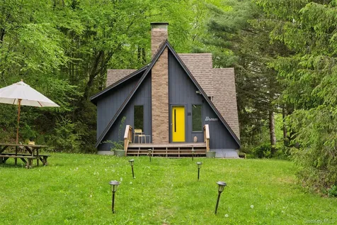 544 Briscoe Road Swan Lake NY 12783