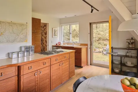 544 Briscoe Road Swan Lake NY 12783