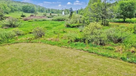 308 William Brown Road Fremont NY 12736