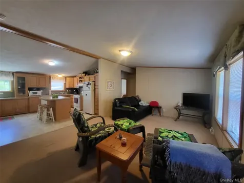 308 William Brown Road Fremont NY 12736