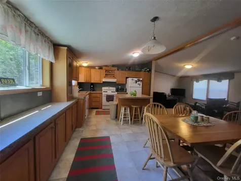 308 William Brown Road Fremont NY 12736