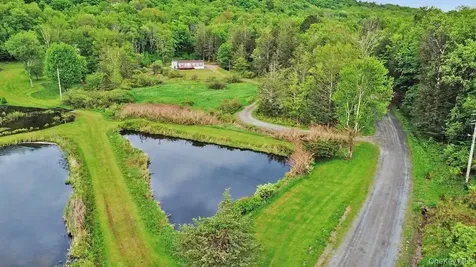 308 William Brown Road Fremont NY 12736