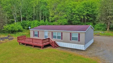 308 William Brown Road Fremont NY 12736