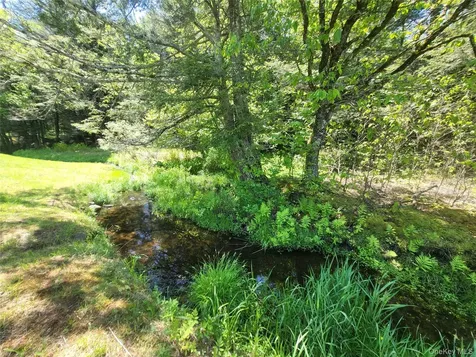 308 William Brown Road Fremont NY 12736