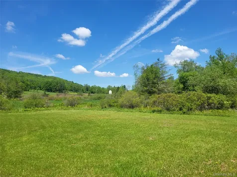 308 William Brown Road Fremont NY 12736
