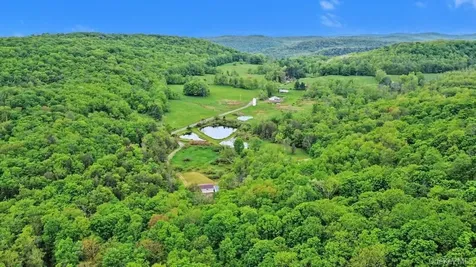 308 William Brown Road Fremont NY 12736