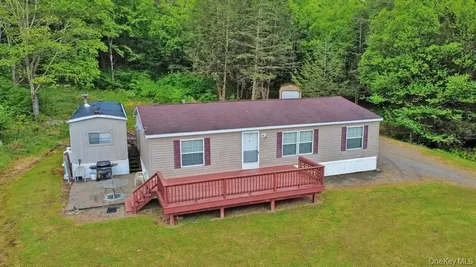 308 William Brown Road Fremont NY 12736