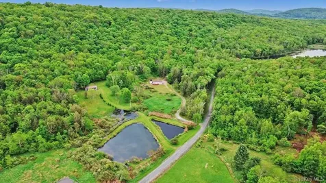 308 William Brown Road Fremont NY 12736