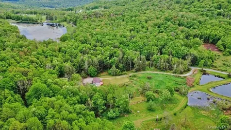 308 William Brown Road Fremont NY 12736
