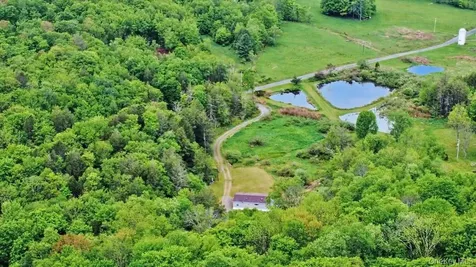 308 William Brown Road Fremont NY 12736