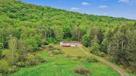 308 William Brown Road Fremont NY 12736