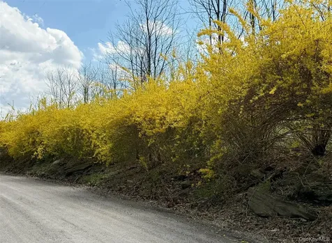 230 Cooper Millerton NY 12545