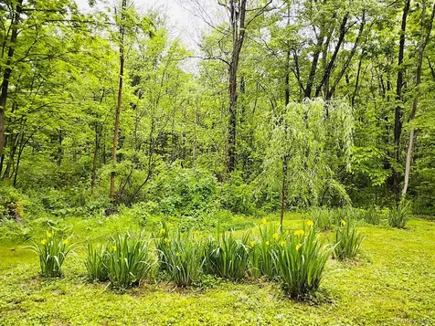 17 Gretna Hill Road Pleasant Valley NY 12569