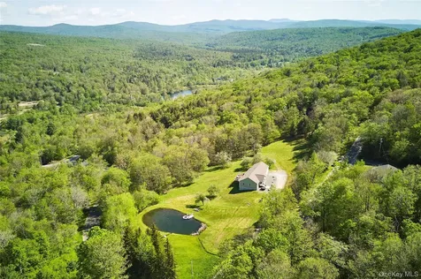 55 Hunter Road Parksville NY 12768