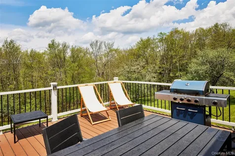 55 Hunter Road Parksville NY 12768
