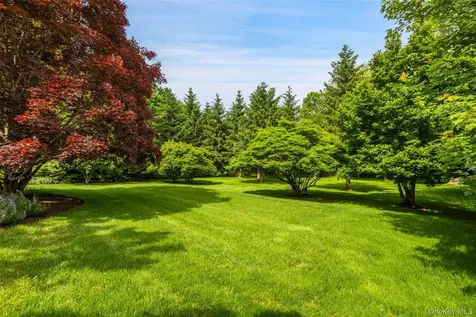 124 Lincoln Avenue Purchase NY 10577