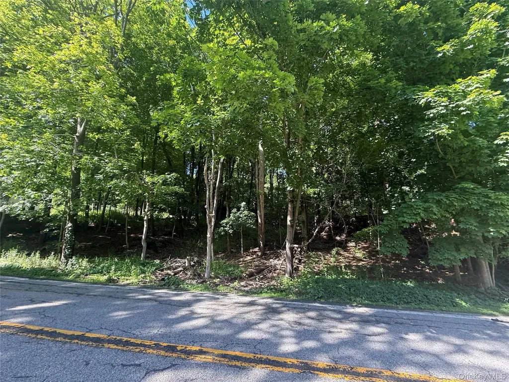 RT-292 Holmes NY 12531